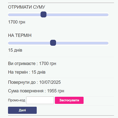 електронна анкета Mister Money